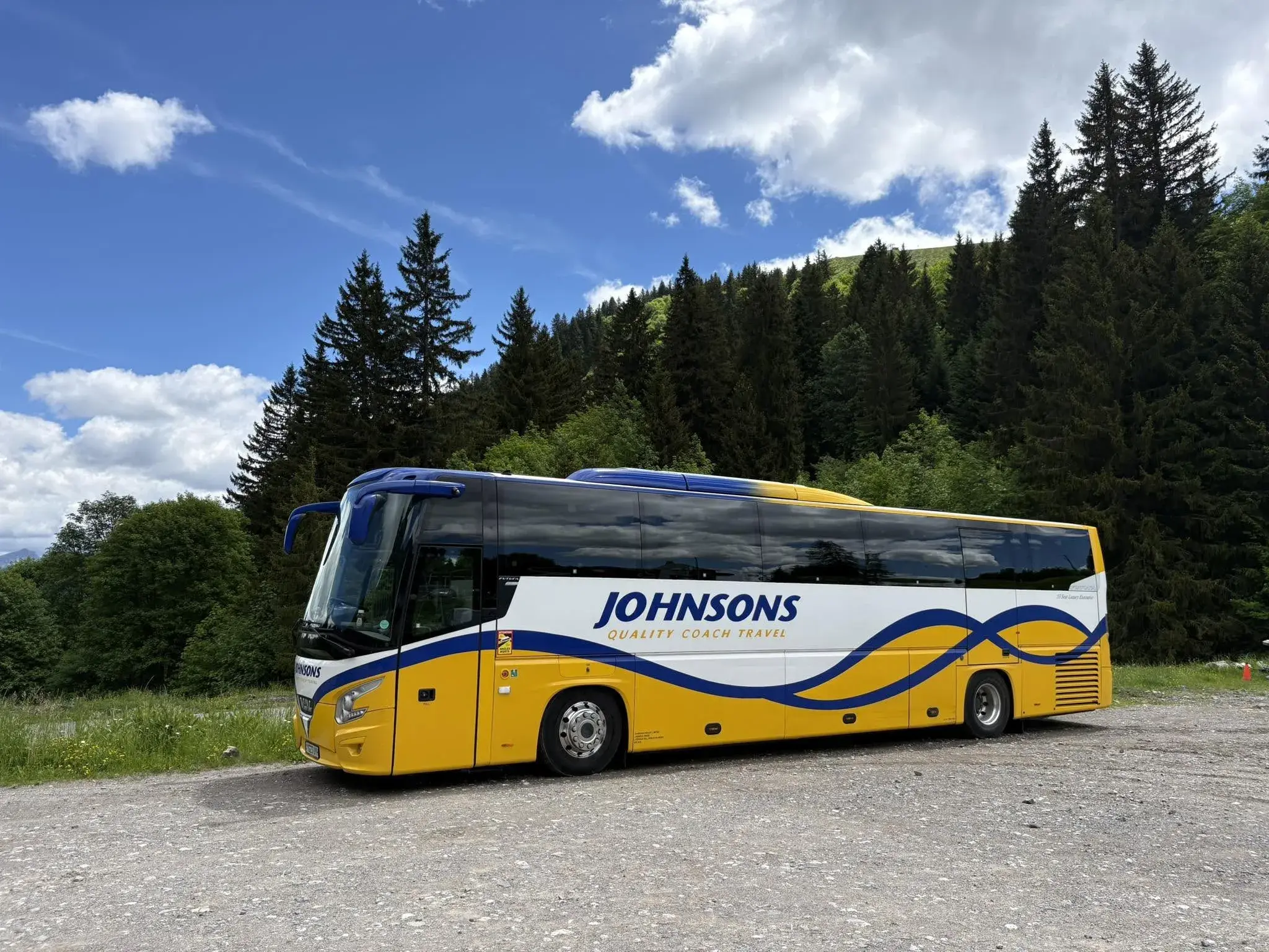 Coach in Forest