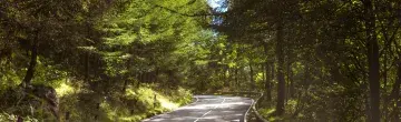 Winding UK country road